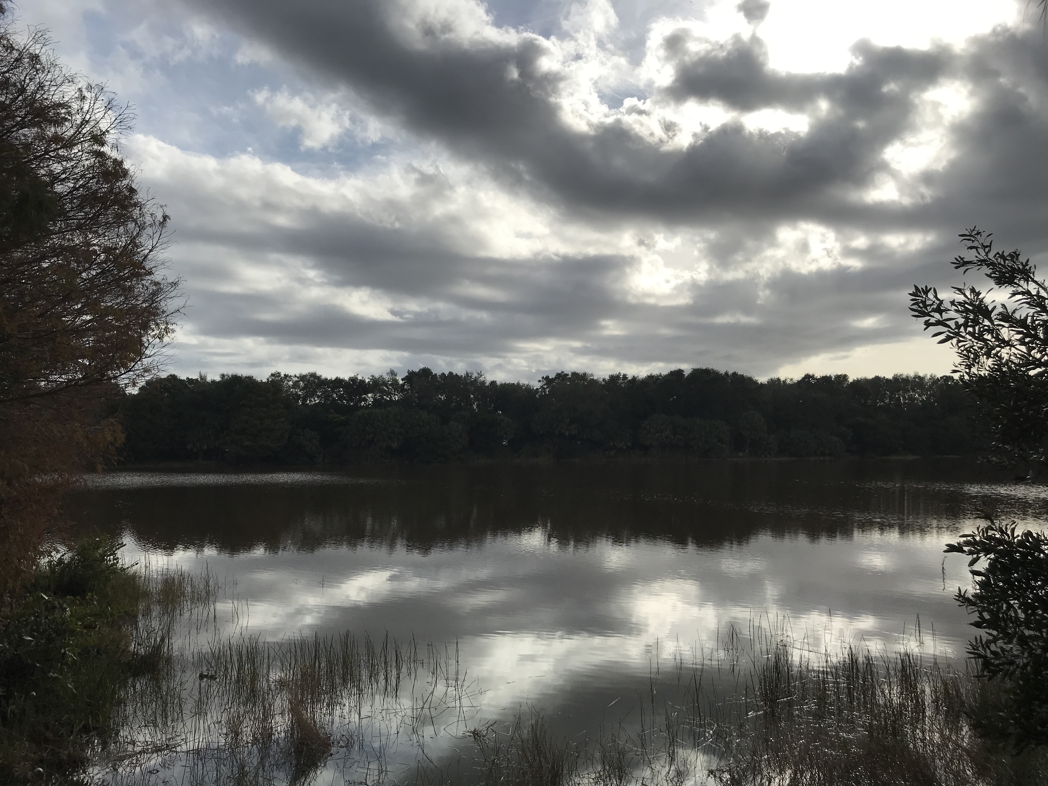 60217314832__B204198E-7EB2-4F7C-8D8B-998F9D62337A