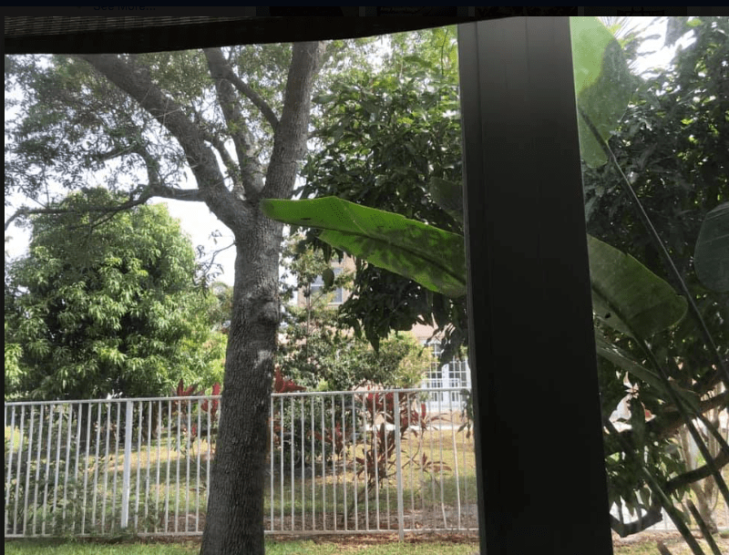 Screen Shot 2020-04-06 at 4.26.08 PM